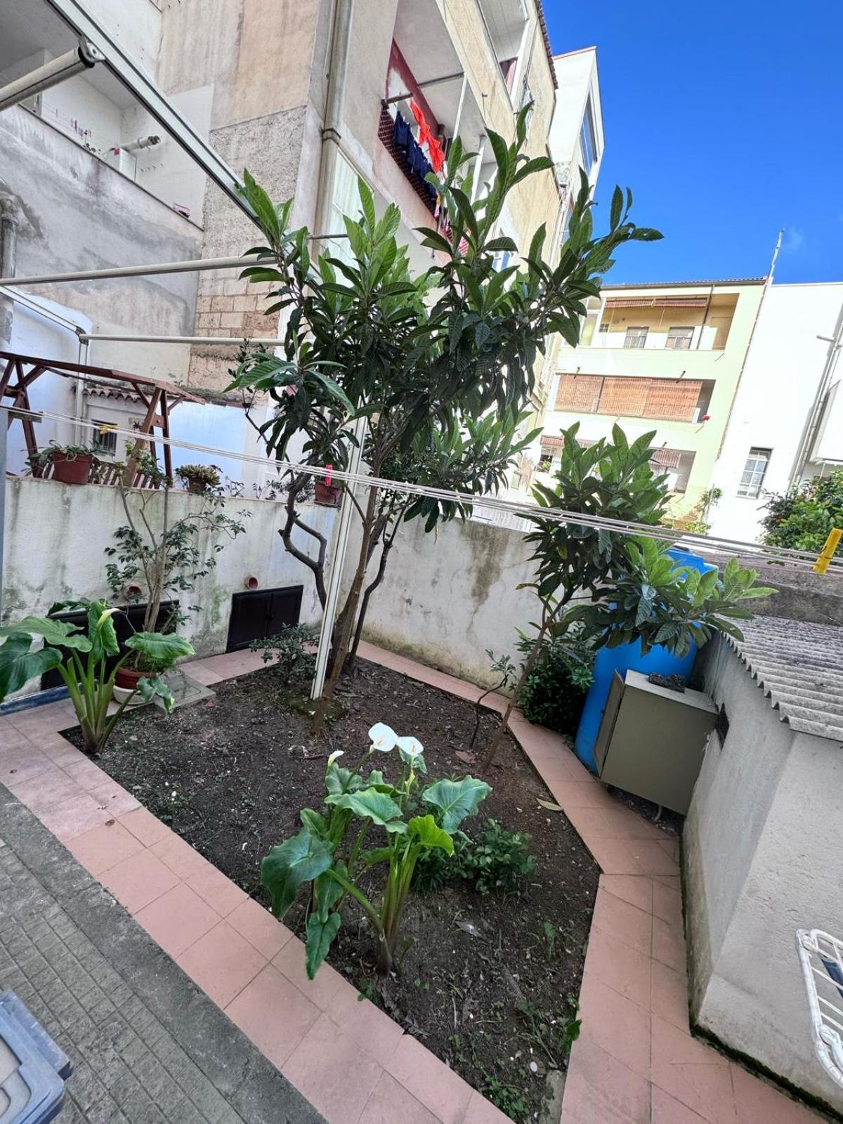 Pm 41 Via Ennio Porrino Guest House アルゲーロ エクステリア 写真